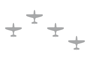 ɫAV Warhawks P40 Fingertip Formation